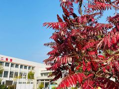 -南开大学滨海学院