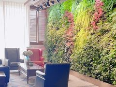 -泽云梵莲花足浴 按摩 SPA(滨湖店)