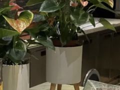 -丽都皇冠假日酒店·Matrix亦餐厅(望京店)