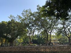 -晓港公园