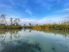 -泗洪洪泽湖湿地景区
