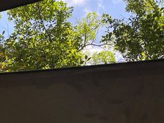 -深圳欢乐谷