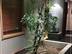 -合和大唐(江夏纸坊店)