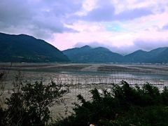 北岐滩涂-北岐滩涂