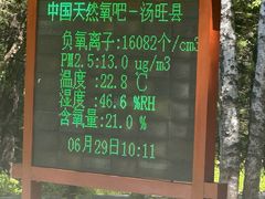 -汤旺河林海奇石景区