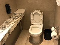 -上海龙之梦万丽酒店