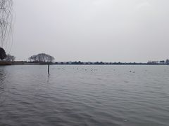 -贡湖湾湿地公园