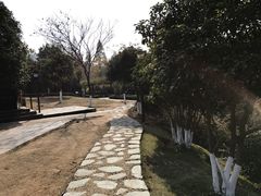 -白马涧龙池景区