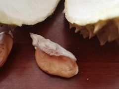 -东方鼎信农副产品交易中心