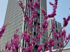 -山东大学(威海校区)