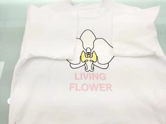 -福奈特洗衣洗鞋(温榆广场店)