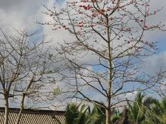 -海南文笔峰盘古文化旅游区