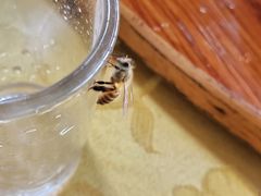 -胖大嫂渔家排档·全海景餐厅(渔村店)