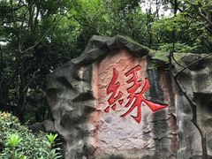 -杭州黄龙洞