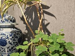 -陈熹公民族美食文化餐厅(中华广场店)