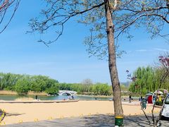 -大兴滨河森林公园