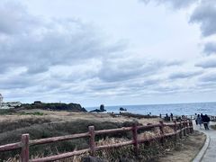 -涉地可支