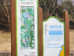 -宜兴龙背山森林公园