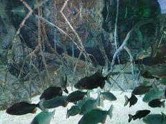 -福州罗源湾海洋世界旅游区