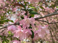 -江苏三台山国家森林公园