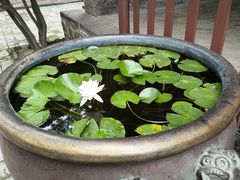 -蓬莱阁景区
