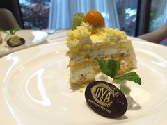 -COVA(上海K11艺术中心店)