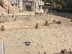 -哈尔滨北方森林动物园