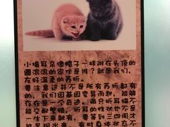 -猫咪博物馆(顶澳仔猫街店)