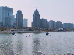 -金沙湖公园