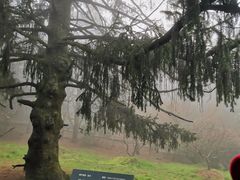 -庐山风景区花径公园
