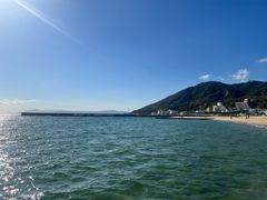 -囿面传统制面馆(中央路店)