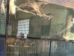 -万鱼亭 日本料理(无锡香山名园店)