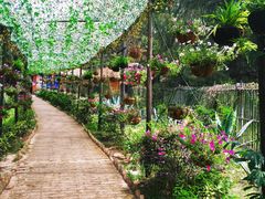 -北海金海湾红树林生态旅游区