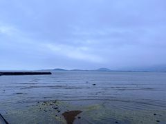 -海合安青岛极地海洋公园