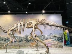 -辽宁古生物博物馆