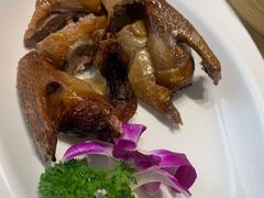 沙律乳鸽-海联潮港城