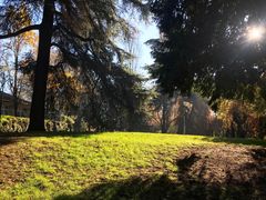-斯福尔扎古堡
