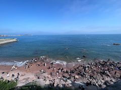 -燕儿岛山公园