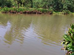-新江湾城公园