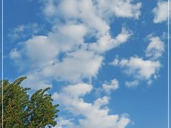 -北京大学燕东园