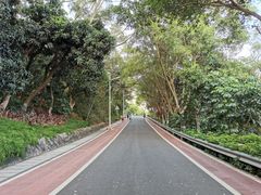 -仙岳公园