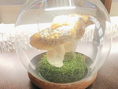 -芸山季·云南野生菌火锅(人民广场来福士店)