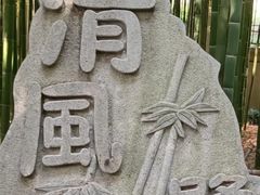 -陈家山荷花公园