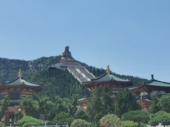 -龙口南山旅游景区