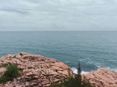 -广东惠东海龟国家级自然保护区