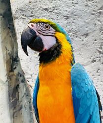 -Zoolung Zoolung动物主题公园(海信广场店)