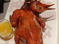 -大鸽饭(体育西路店)