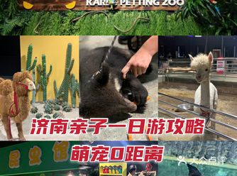 爱治愈系小动物谁能不爱？周末亲子游宝藏地，济南萌宠乐园