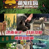 🉑爱治愈系小动物谁能不爱？周末亲子游宝藏地，济南萌宠乐园