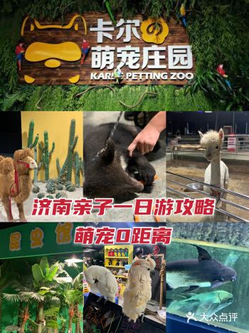 爱治愈系小动物谁能不爱？周末亲子游宝藏地，济南萌宠乐园